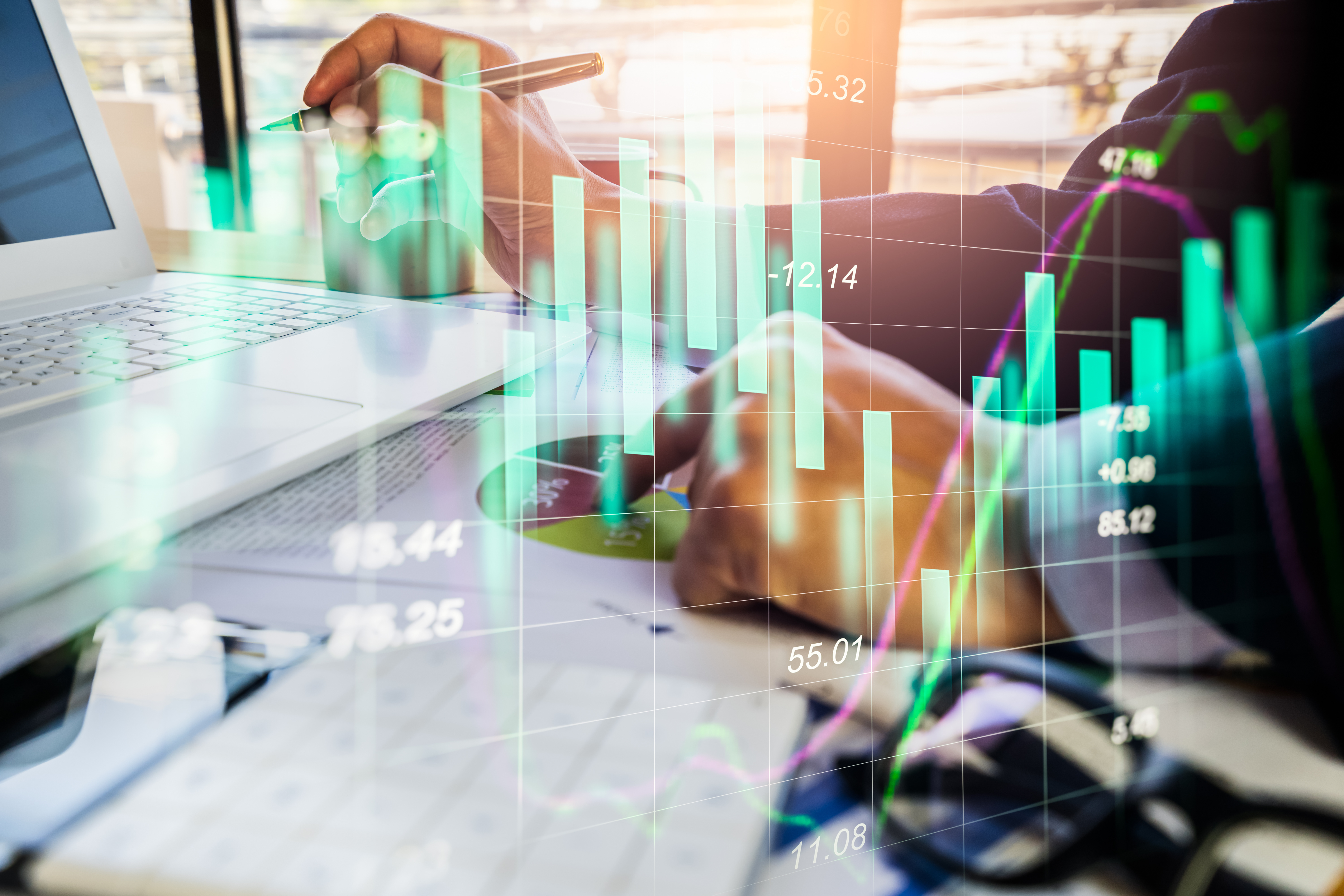 monitoring programme